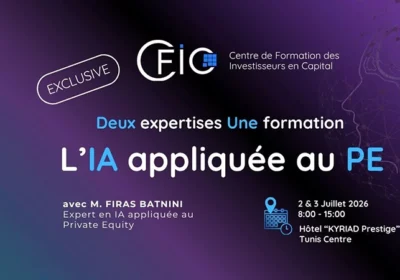 Intelligence Artificielle appliquée au Private Equity