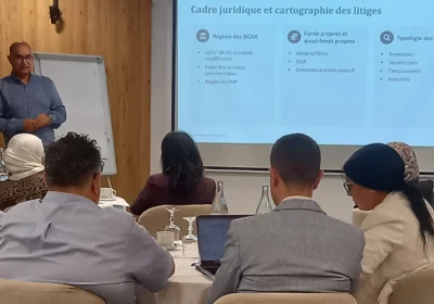 Contentieux &ndash; Arbitrage, proc&eacute;dures et voies de recours